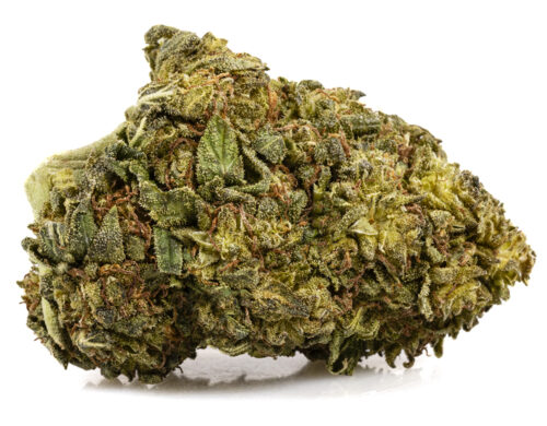 ak47 cbd boost small cbd gras