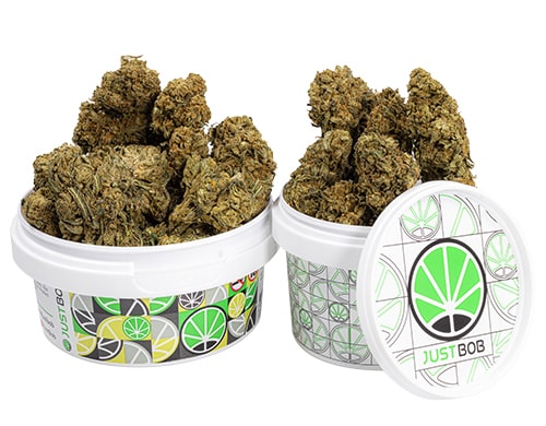 dose cannabis cbd outdoor mix