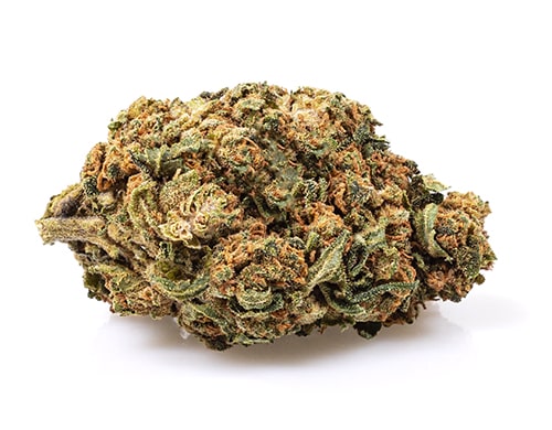 CBD Blüten der Sorte Sweet Berry
