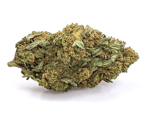 White Widow Cannabis Blüte Sorte