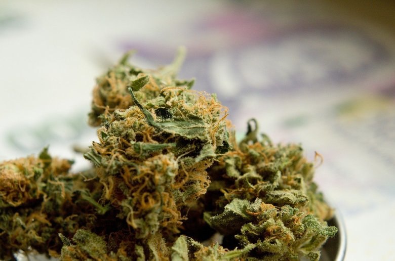 CBD und Appetit: CBD Gras