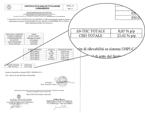 Fotoanalyse cbd burbuka
