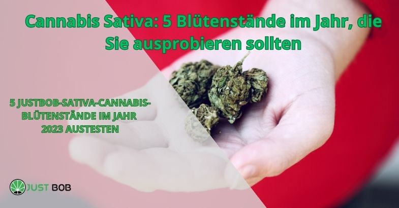 Cannabis Sativa: 5 Blütenstände im Jahr 2020