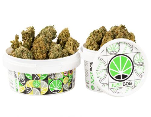 kann HQ cbd boost cbd blueten