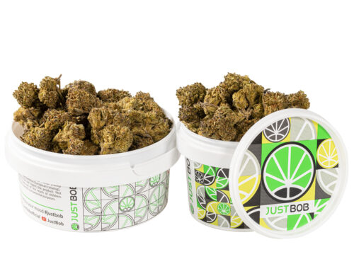 kann HQ cbd boost cbd blueten klein