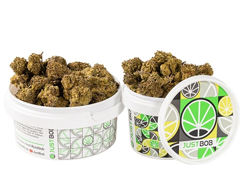 kann-HQ-cbd-boost-cbd-gras-klein
