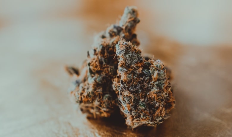 Bubblegum CBD-Cannabis