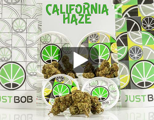 california-haze-video-cbd-blueten