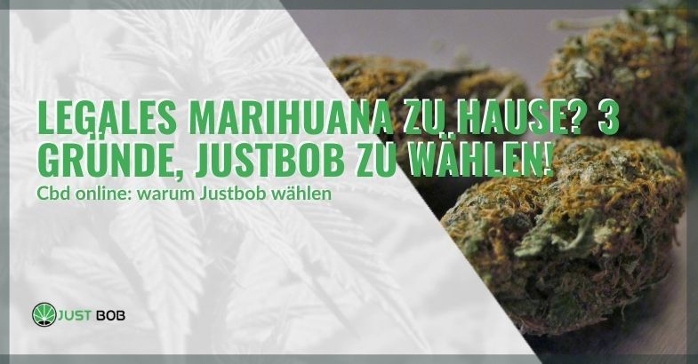 Legales Marihuana zu Hause? 3 Gründe, JustBob zu wählen