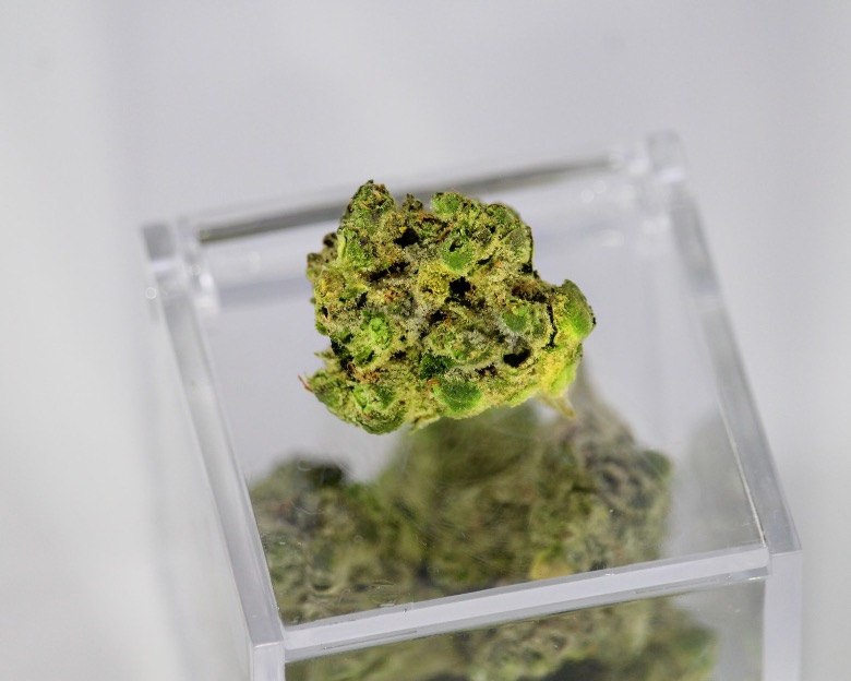 Cannabis und Cannabinoide: nicht nur THC