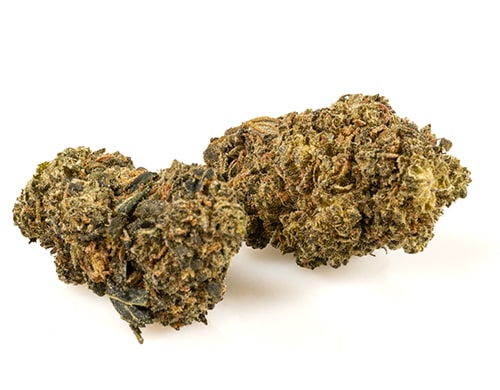 amnesia-cbd-boost-small-cbd-blueten