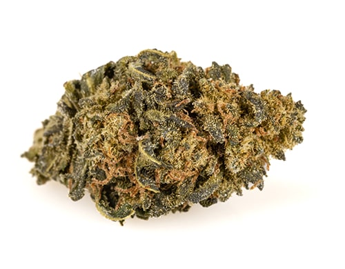 cbd-blueten-amnesia-cbd-boost