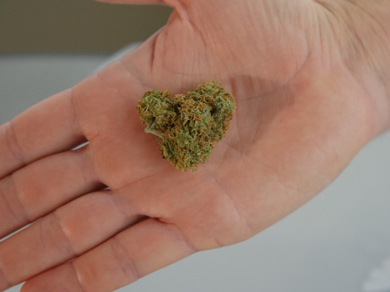 Sie wissen nicht, welches legale Marihuana Sie kaufen sollen?