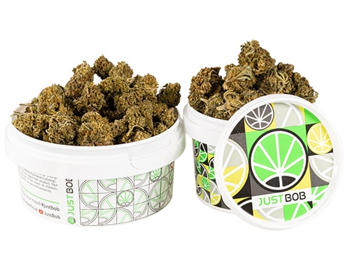 kann-amnesia-cbd-boost-cannabis-cbd