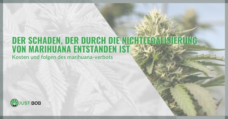Der Schaden, der durch die Nichtlegalisierung
