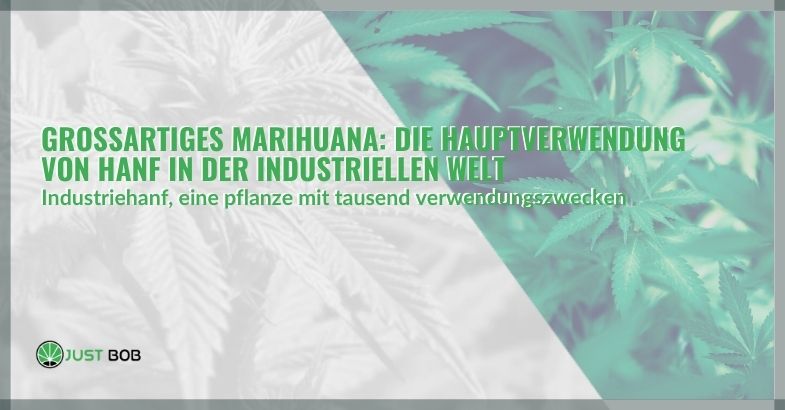 Großartiges Marihuana: Die Hauptverwendung von Hanf