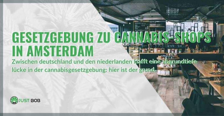 Gesetzgebung zu Cannabis-Shops in Amsterdam