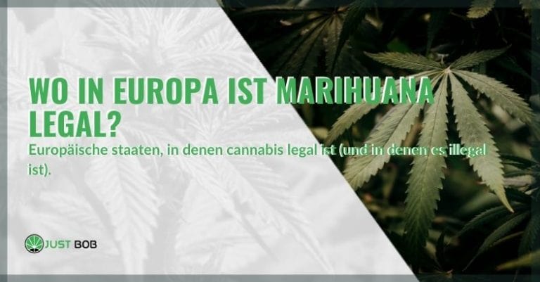 Wo in Europa ist Marihuana legal?