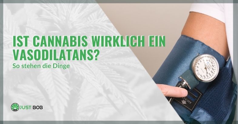 Ist Cannabis wirklich ein Vasodilatans?