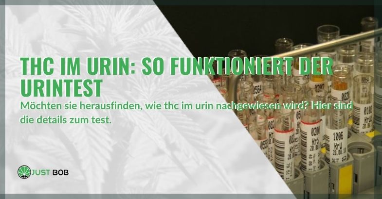 THC im Urin: So funktioniert der Urintest
