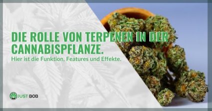 Die Rolle von Terpenen in der Cannabispflanze