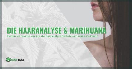 Die Haaranalyse & Marihuana