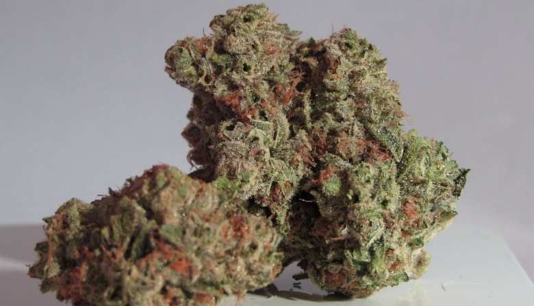 Die Cannabis CBD