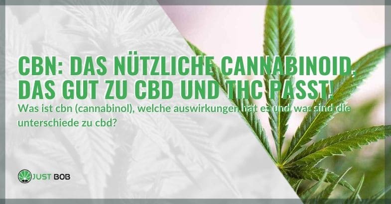 Die CBN