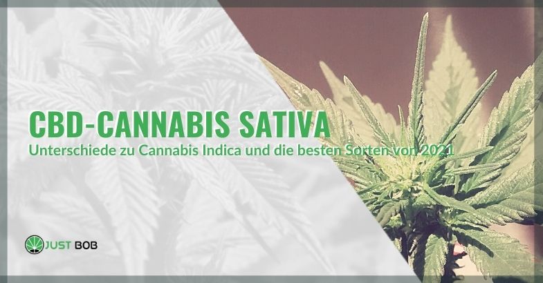 CBD-Cannabis Sativa