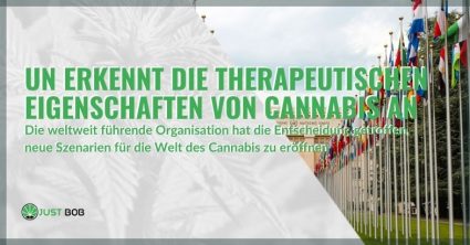 UN-erkennt-medizinische-Eigenschaften-von-Cannabis Die UNO erkennt die therapeutischen Eigenschaften von Cannabis an