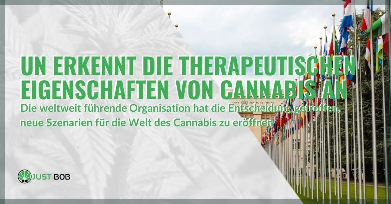 Die UNO erkennt die therapeutischen Eigenschaften von Cannabis an