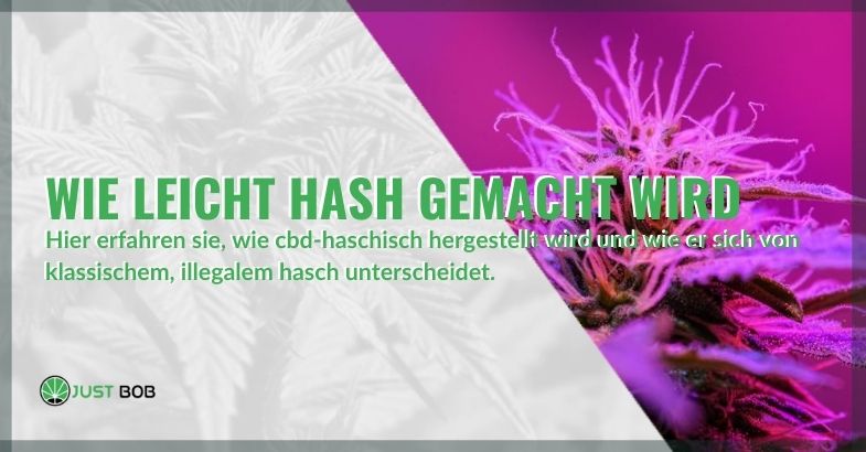 Wie CBD-Haschisch hergestellt wird und welche Unterschiede