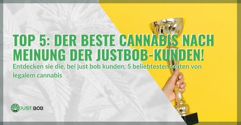 Top 5: Der beste Cannabis nach Meinung der Justbob-Kunden!