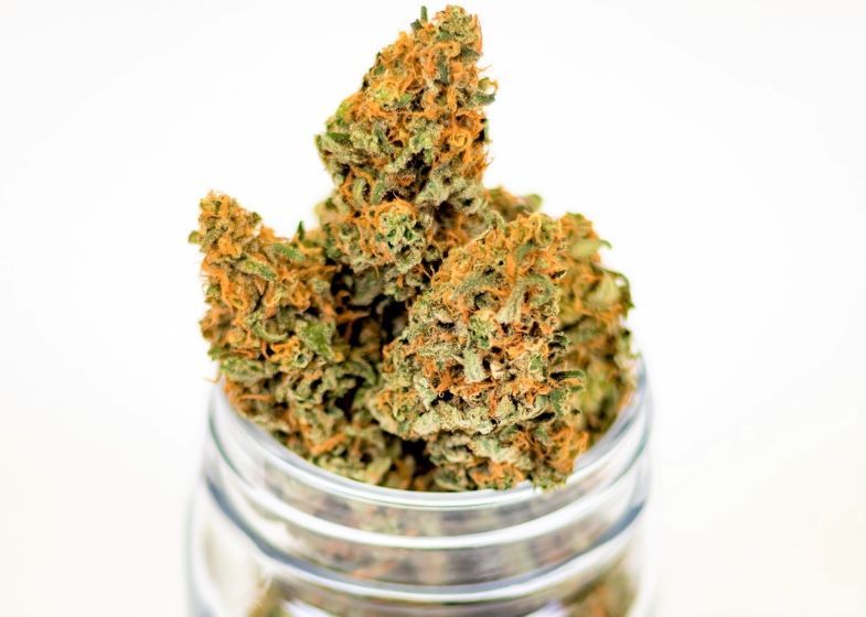 Knospen & Cannabis