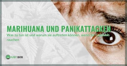 Marihuana und Panikattacken