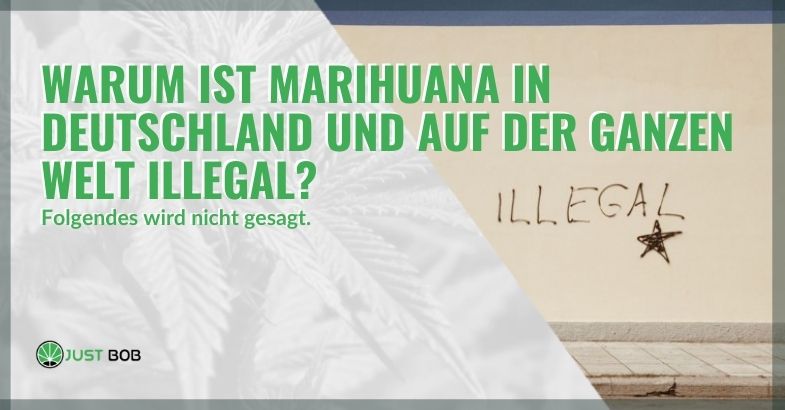 Warum ist Marihuana in Österreich und auf der ganzen Welt illegal?