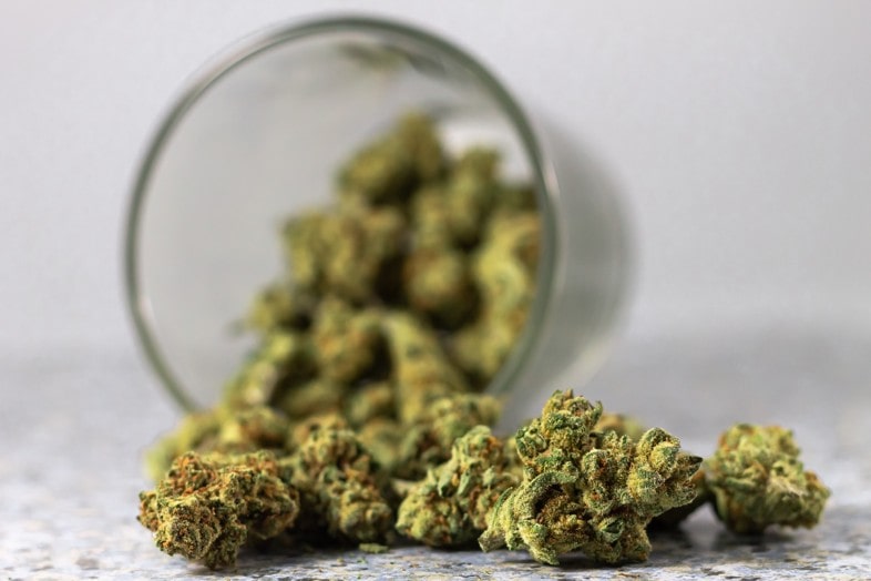 Cannabisblüten erworben werden