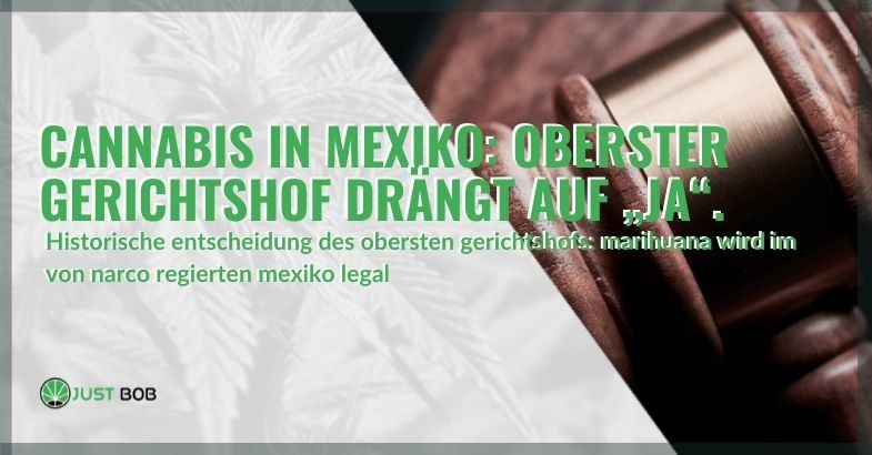 Cannabis in Mexiko: Oberster Gerichtshof drängt auf „Ja“.