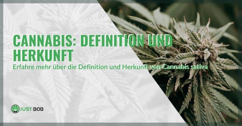 Cannabis: Definition und Herkunft