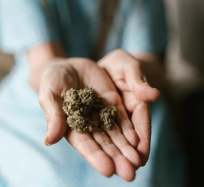 Cannabis: Oberster Gerichtshof drängt Parlament