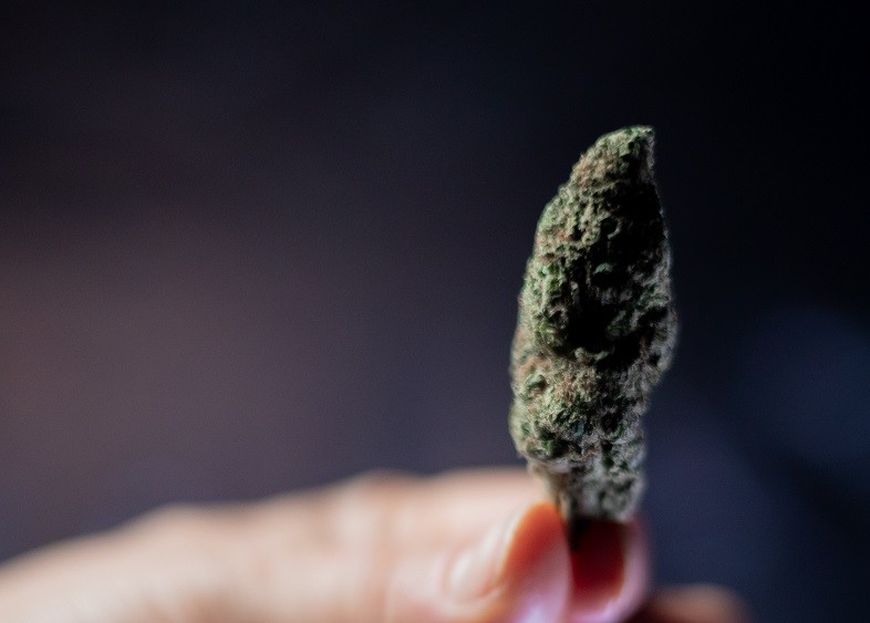 Was sind Cannabinoiden?
