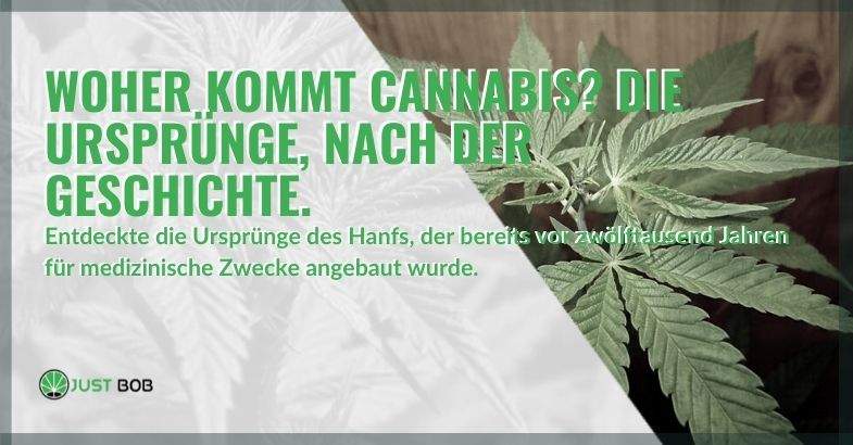 Woher kommt Cannabis? Die Ursprünge