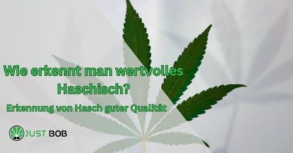 Wie erkennt man wertvolles Haschisch?