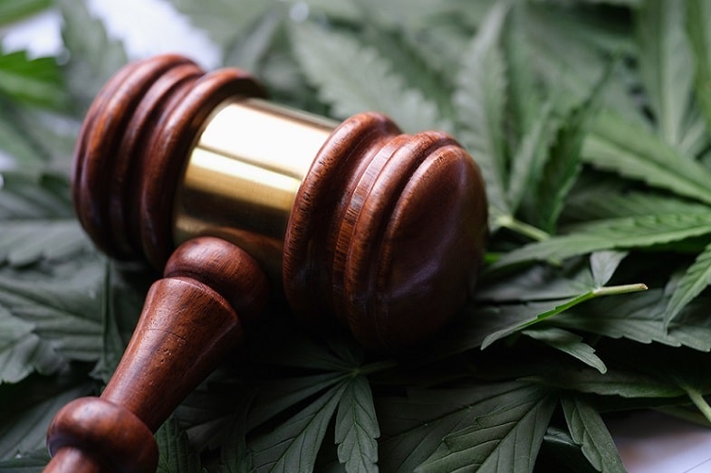 Die Vorteile von CBD