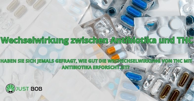 Wechselwirkung zwischen Antibiotika und THC