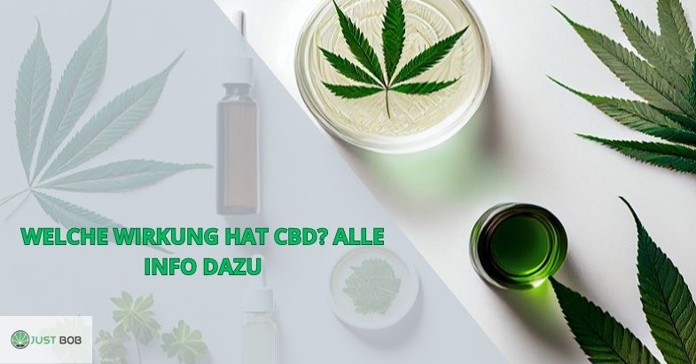 WELCHE WIRKUNG HAT CBD? ALLE INFO DAZU