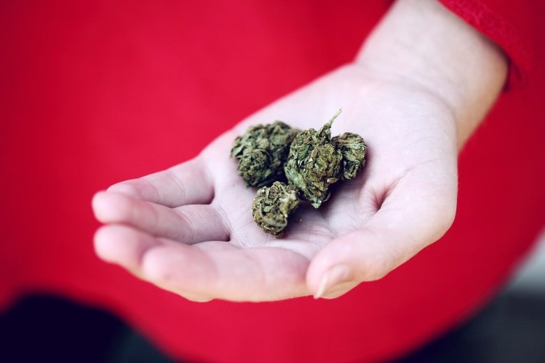 Kroatien und das Pro-Marihuana-Gesetz
