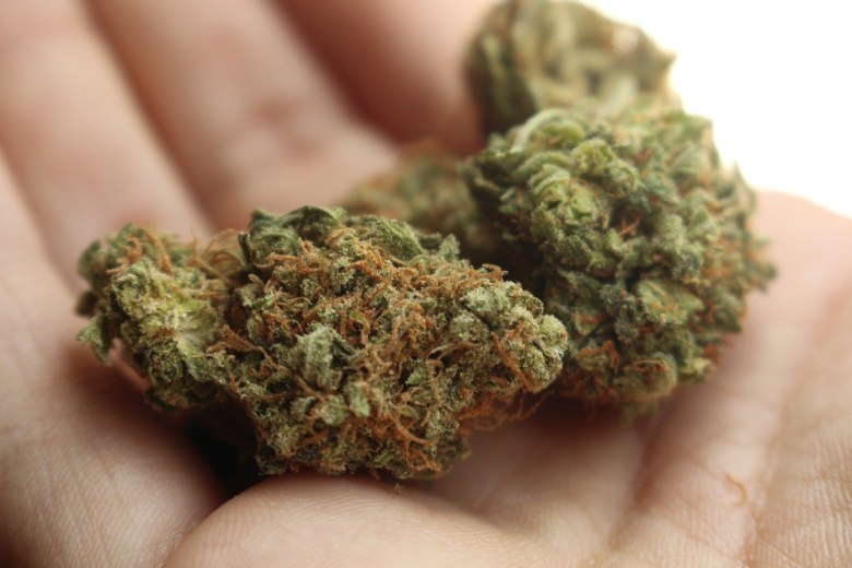 Das Auftreten von leichtem Cannabis Do Si Dos