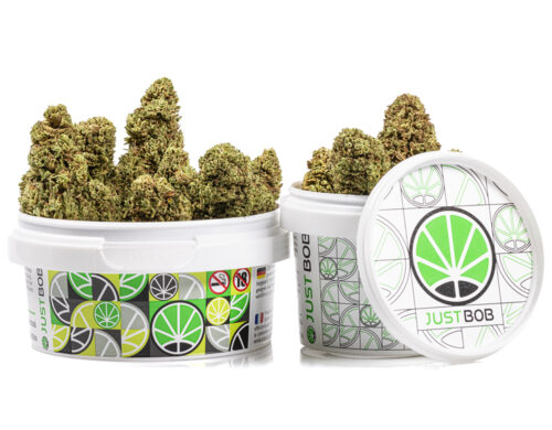 kann bubblegum cbd blueten