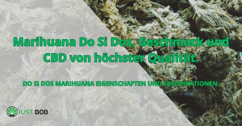Marihuana Do Si Dos, Geschmack und CBD von höchster Qualität.
